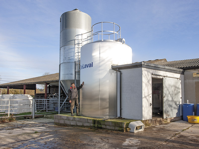 DAIRY FOCUS: David Cotton, Bridge Farm, Near Glastonbury