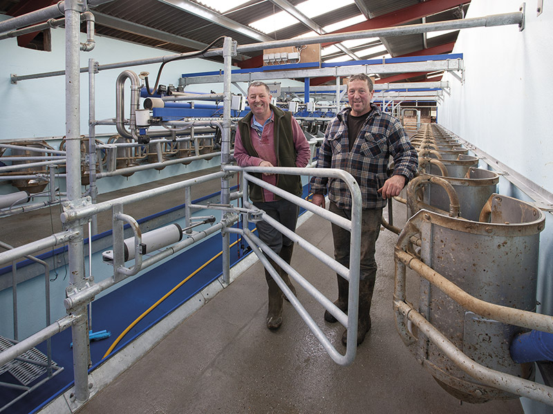 DAIRY FOCUS: K J Osborne & Partners, Whitchurch Farm, Ston Easton