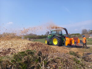 Biofuel production