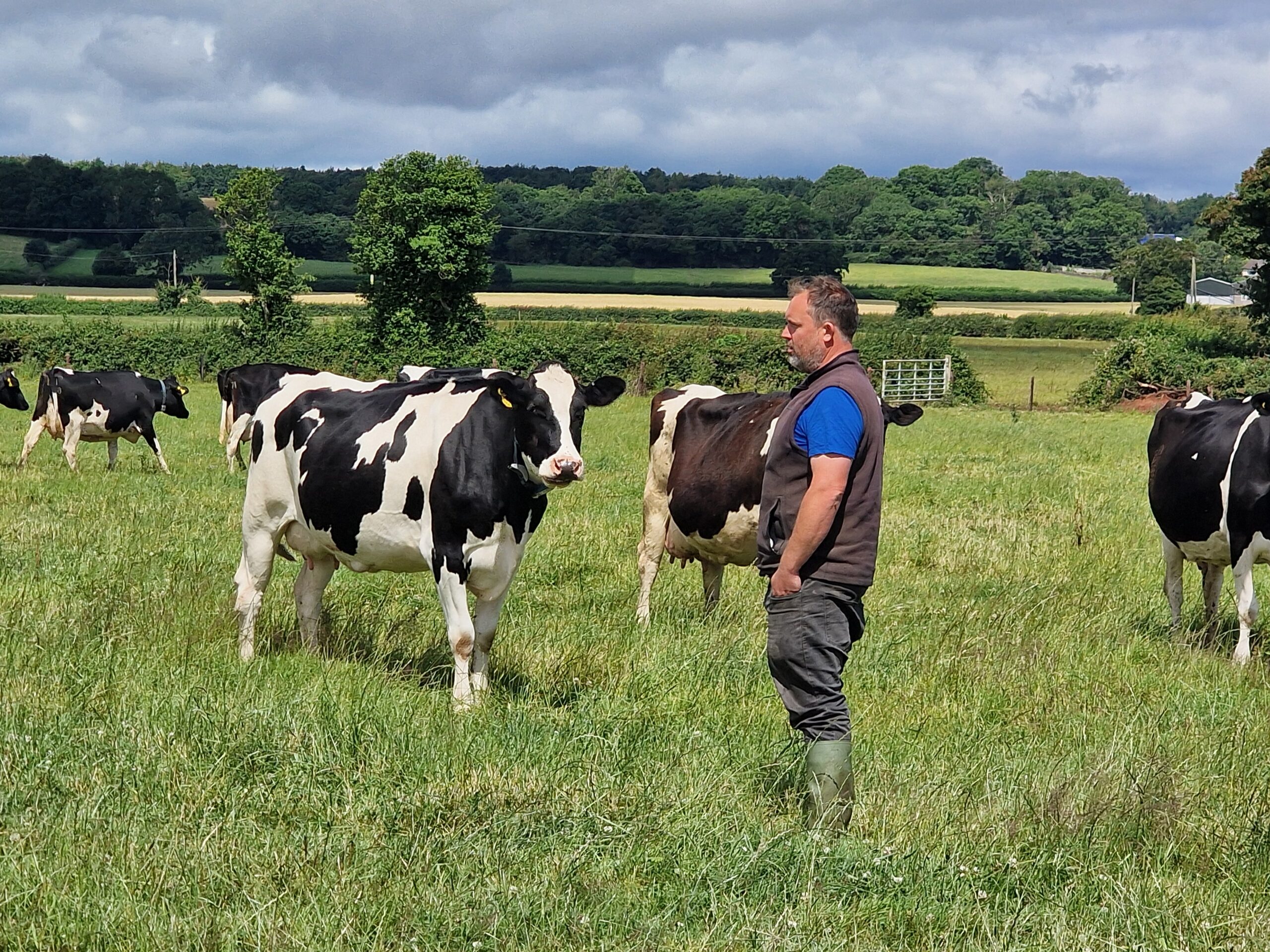 Robotic Grazing system boosts milk for Organic Farm